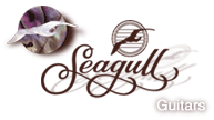 Seagull