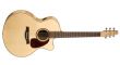 Performer CW Mini-Jumbo Flame Maple QII