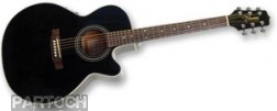 Takamine EG541C