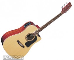 Washburn D10 SCE