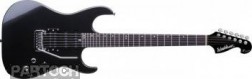 Washburn X20 MGY