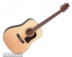 Washburn D10S