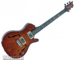 PRS SINGLECUT HB1 BIRDS 10