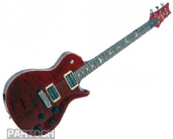 PRS SINGLECUT SC250 BIRDS 10