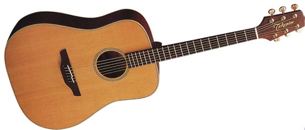 Takamine N10