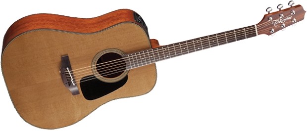 Takamine P1D