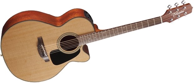 Takamine P1NC