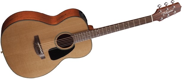 Takamine P1M