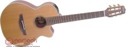 Takamine EN30C