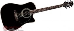 Takamine EF341SC