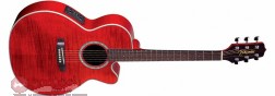 Takamine EG540C