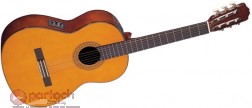 Takamine EG116