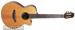 Takamine TAN30C