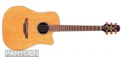 Takamine TAN10C