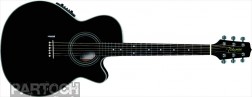 Takamine G510S