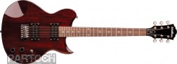 Washburn WI14