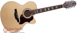 Takamine EG523SC-12