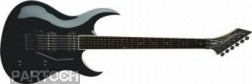 Washburn WM 24 V