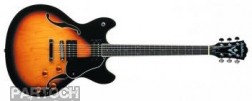 Washburn HB 30