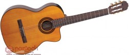 Takamine EG124C