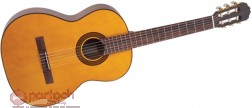 Takamine G124