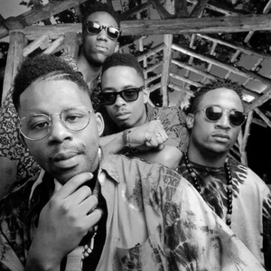 brand nubian