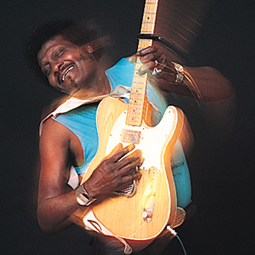 album albert collins