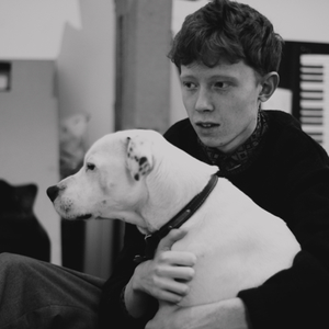 king krule