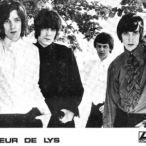 les fleur de lys