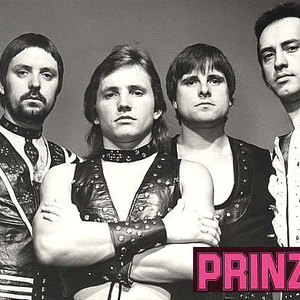 prinzip