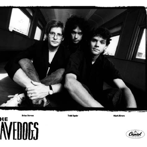 the cavedogs