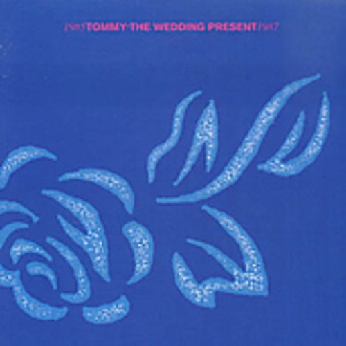 album the wedding present