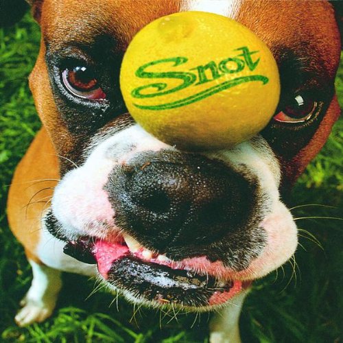 album snot