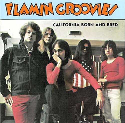 album flamin groovies