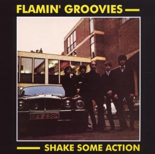 album flamin groovies