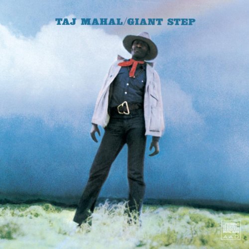 album taj mahal