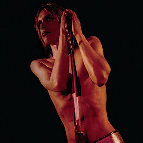 album iggy and the stooges