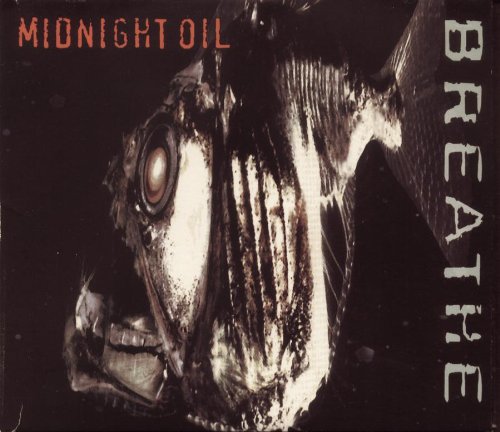 album midnight oil