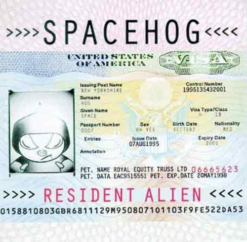 album spacehog