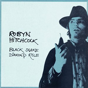 album robyn hitchcock