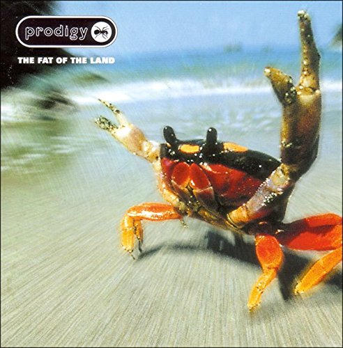 album the prodigy