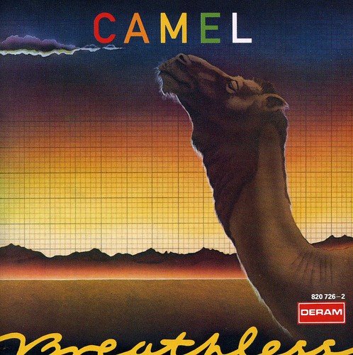 album camel