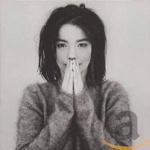 album bjrk