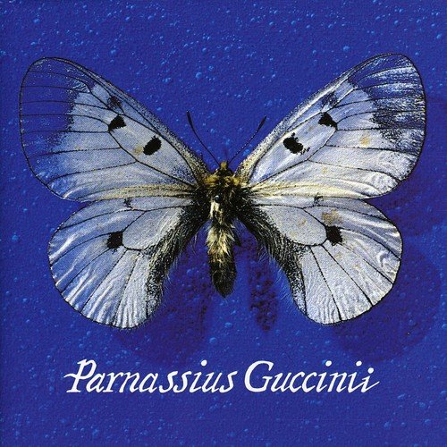 album francesco guccini