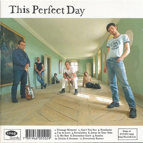 album this perfect day