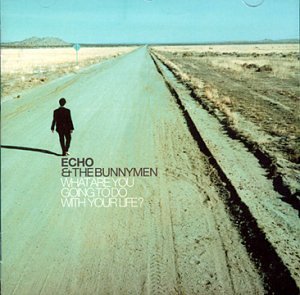 album echo and the bunnymen