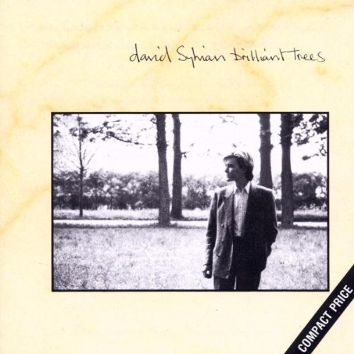 album david sylvian