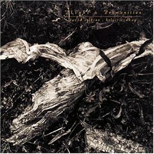 album david sylvian