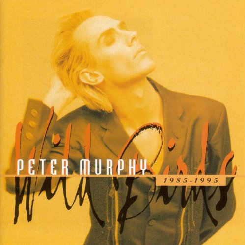 album peter murphy