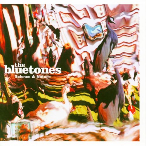 album the bluetones